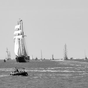 Baptiste-The Tall Ship Race - les vieux grééments-03 août 2018-0116